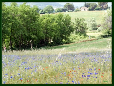 Résultat de recherche: campagne