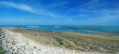 Résultat de recherche: Envie d'espace