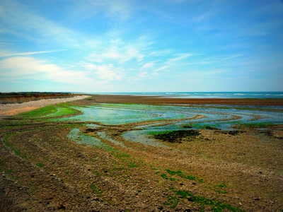 Œuvre de Yoyo: La mer s'est retirée