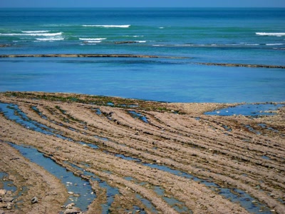Œuvre de Yoyo: La mer