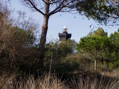 Résultat de recherche: nature