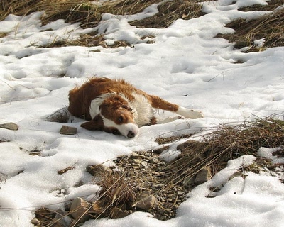 Résultat de recherche: Un peu de fraicheur ...