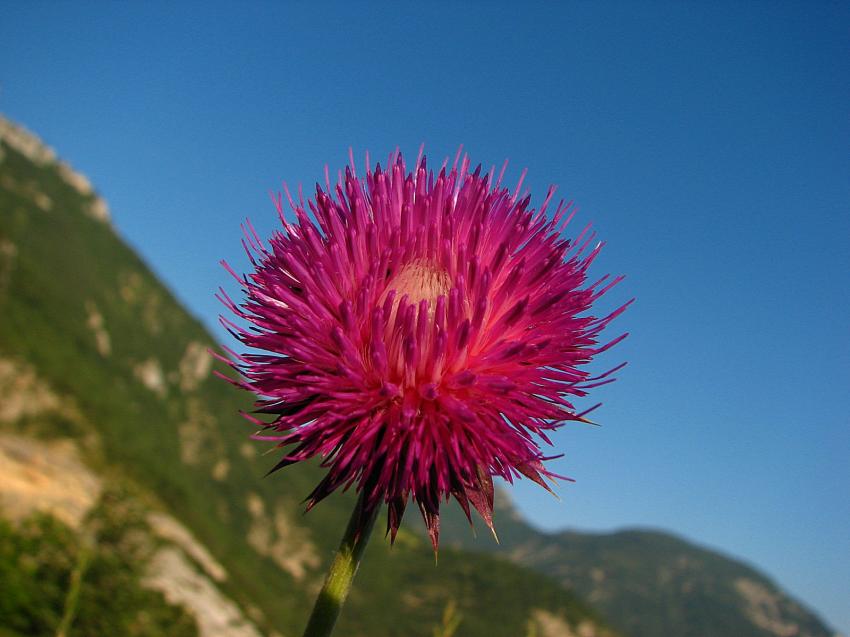 Aujourd'hui je m'éclate ...