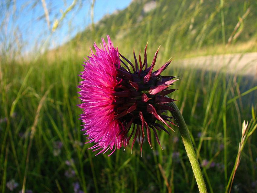 Aujourd'hui je m'éclate ....pour vous