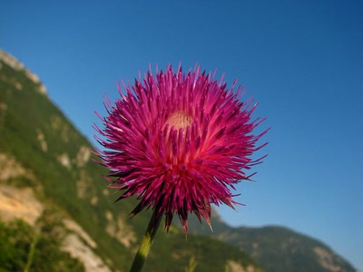Œuvre de louloup: Aujourd'hui je m'éclate ...