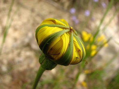 Œuvre de louloup: Demain je m'éclate .....