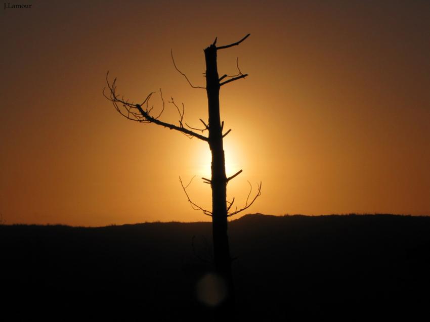 Quelques couchés de soleil...