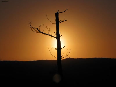 Résultat de recherche: Quelques couchés de soleil...