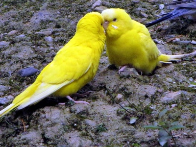 Œuvre de dedem: Poses en famille...