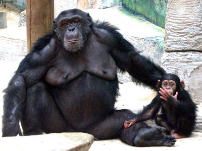 Œuvre de dedem: Poses en famille...