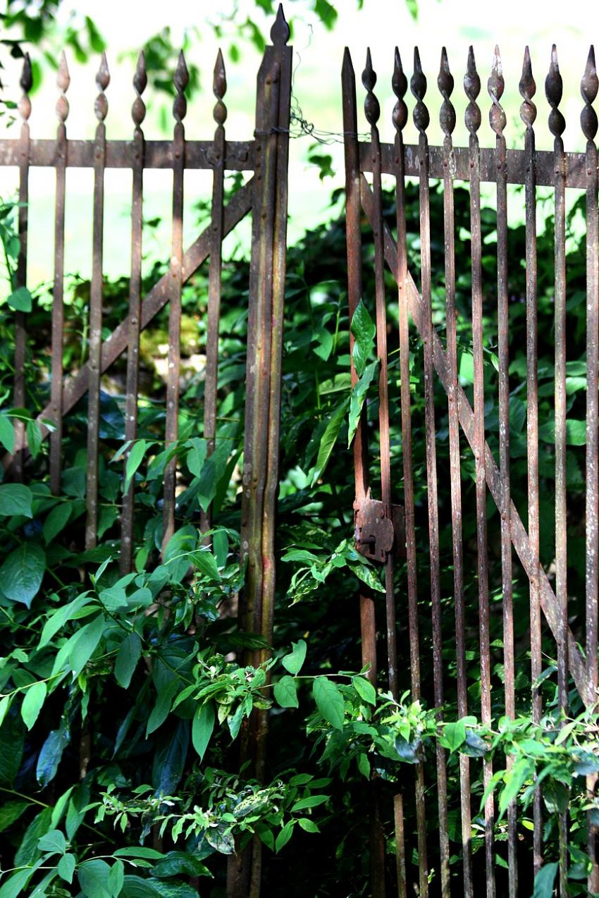 Portes (24) :  Dans le Périgord, à Montignac (1)