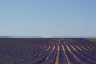 Œuvre de Nout: A perte de vue