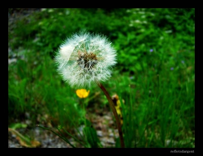 Œuvre de refletsdargent: soufflez!