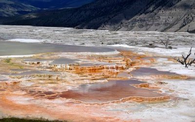 Résultat de recherche: terrasse acide