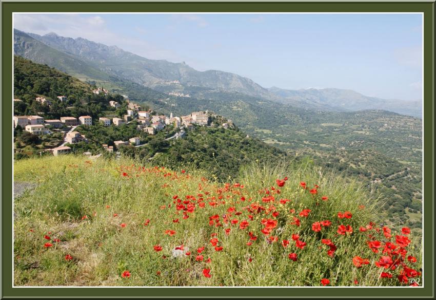 Village de Belgodère dans la Balagne.