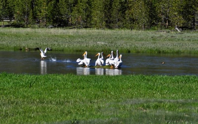 Résultat de recherche: Allez, je décolle...