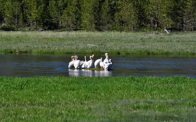 Résultat de recherche: Allez on se serre un peu...