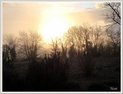 Œuvre de Nout: Il s'est levé !