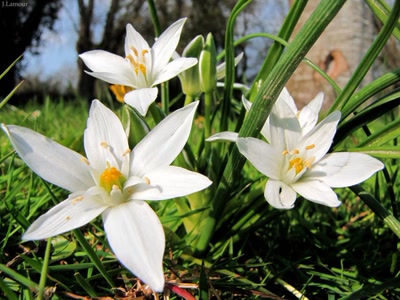 Résultat de recherche: Balade nature