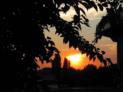 Résultat de recherche: Coucher de soleill 25810