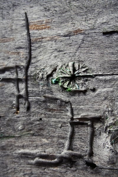 Œuvre de Trash-murder-doll: Vieux Bois