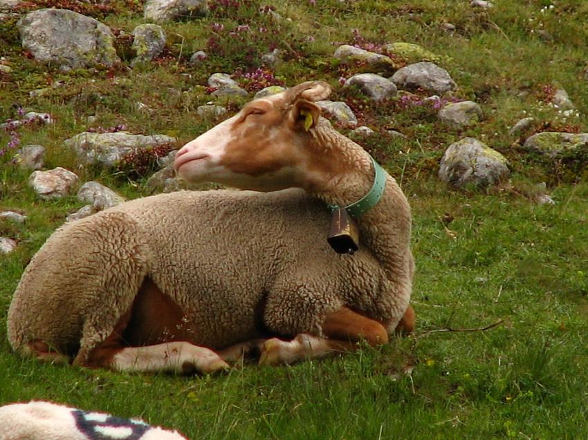 J'aime aussi les rousses !!!