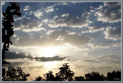 Résultat de recherche: Nuages