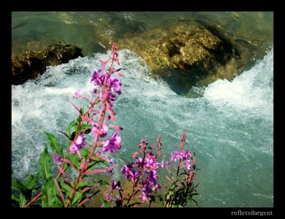 Résultat de recherche: du rose, du gris et de la fraîcheur