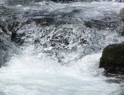 Œuvre de libellule: torrent pyrnneen