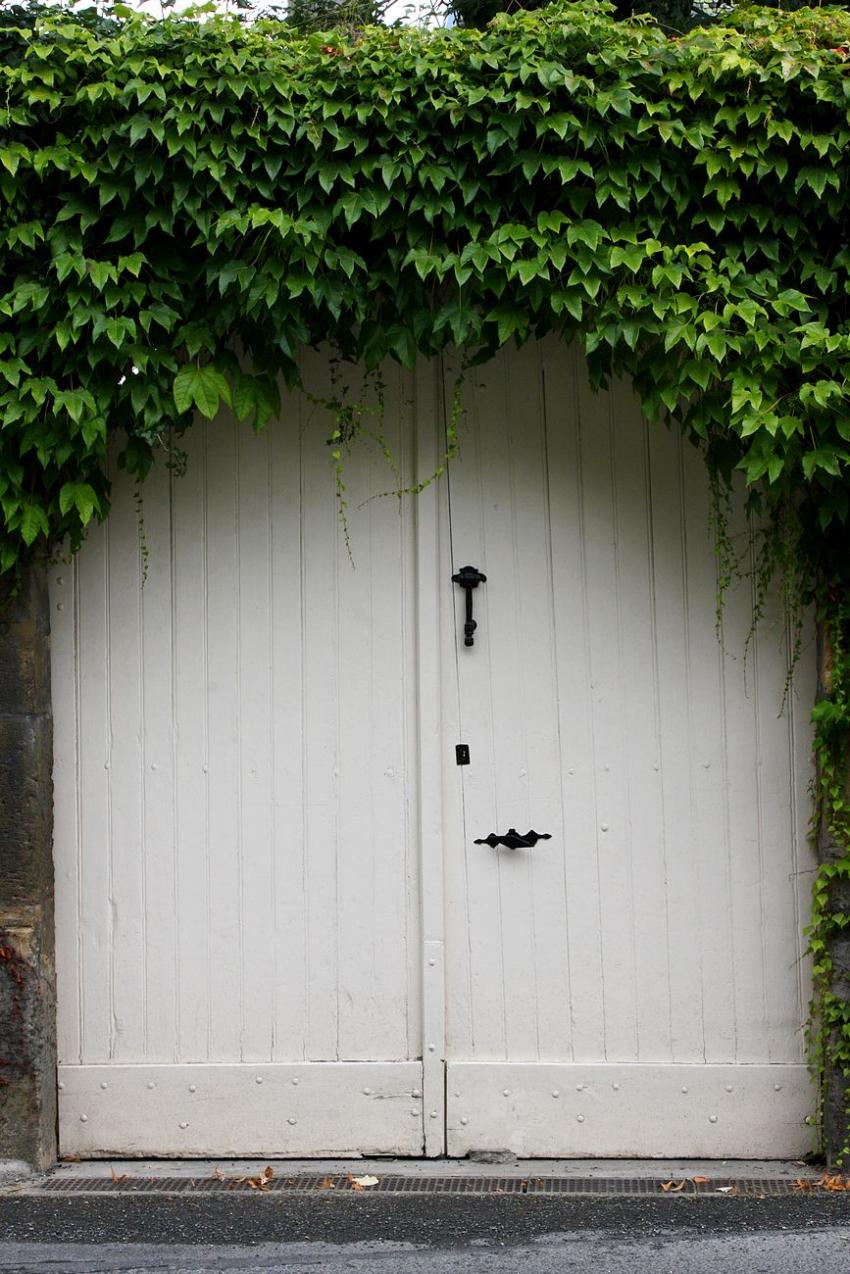 Portes (101) : Dans le Périgord, à Montignac (78)