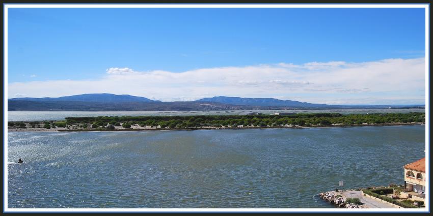 Leucate (11) L'étang