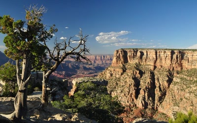 Résultat de recherche: Grand Canyon