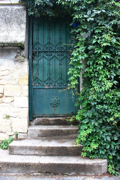 Résultat de recherche: Portes (122) : Dans le Périgord, à Montignac (99)