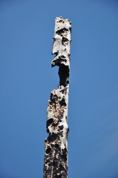 Résultat de recherche: Totem ? 