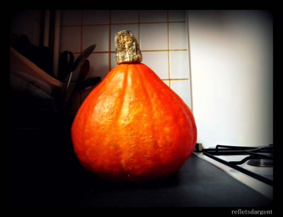 Œuvre de refletsdargent: potimarron