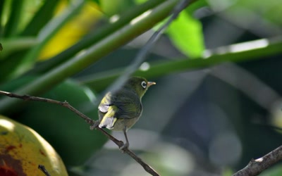 Résultat de recherche: Lunettes..