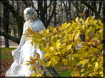 Œuvre de biotrans: George Sand