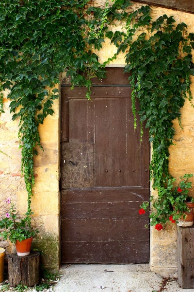 Résultat de recherche: Portes (163) :  Dans le Périgord, à Montignac (140