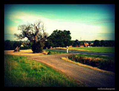 Œuvre de refletsdargent: le long de la route
