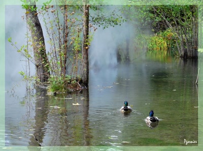 Les jardin du clos Lucé