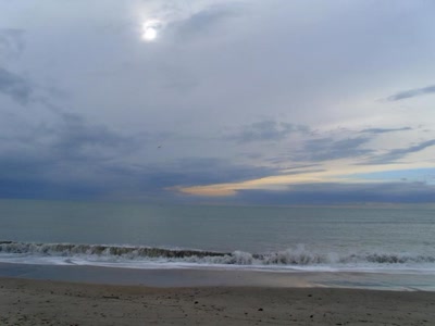 Résultat de recherche: le grand traver