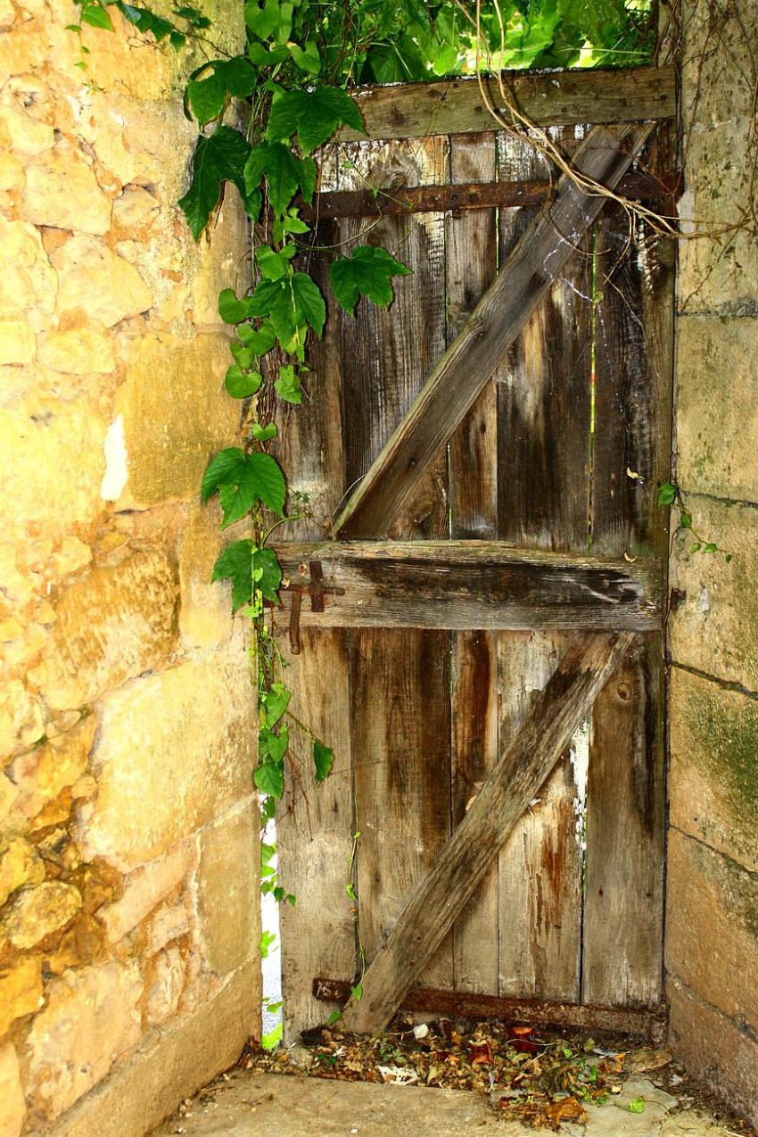 Portes (164) : Dans le Périgord à Montignac (141)