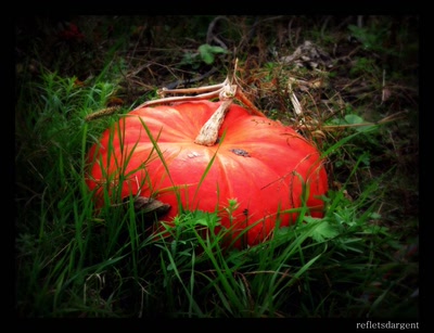 Œuvre de refletsdargent: bien rouge