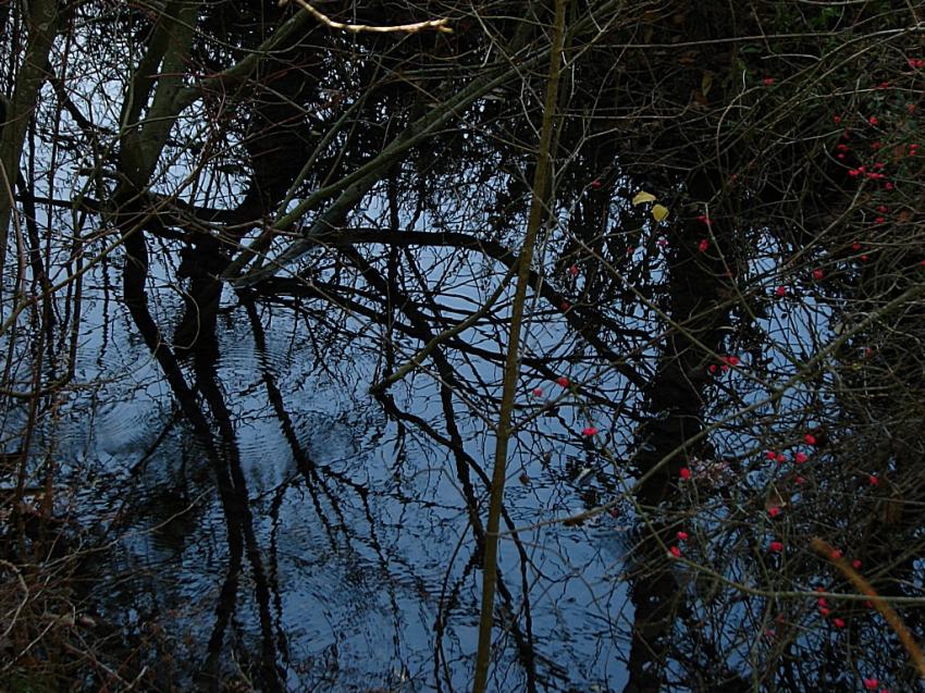 Reflets d'un soir sur la source sacrée ...