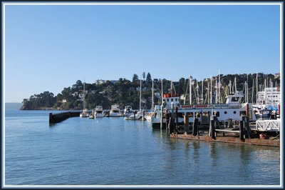 Tiburon (Californie)