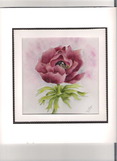 Résultat de recherche: ANEMONE