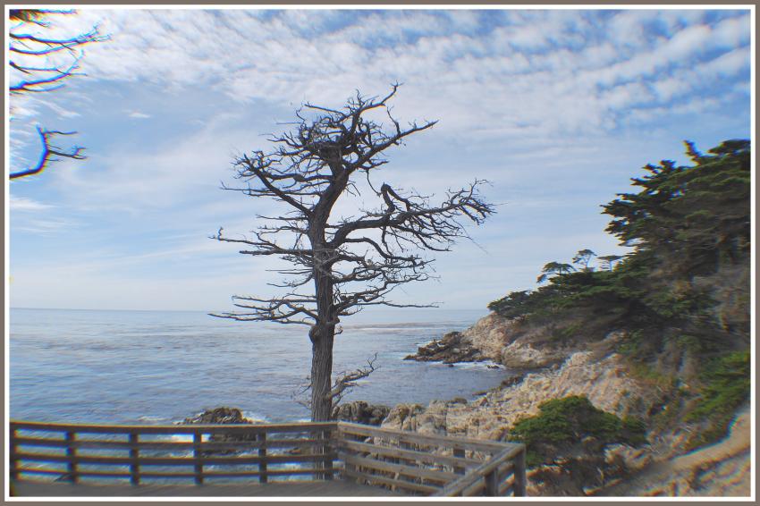 La côte californienne