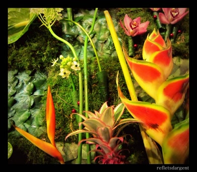 Résultat de recherche: composition végétale au milieu du chocolat