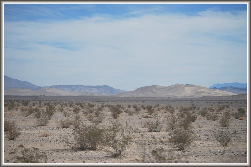 Désert de Mojave (Est-Californie)