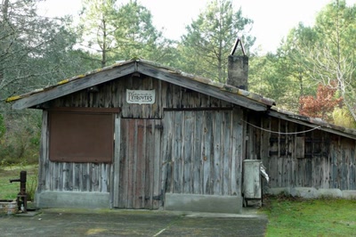 Les cabanes sur les bords du lac de Cazaux